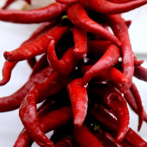 Zdjęcie: Suche chili meksykańskie: ancho, guajillo, chipotle i inne