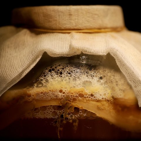 Kombucha domowa: herbata fermentowana z SCOBY
