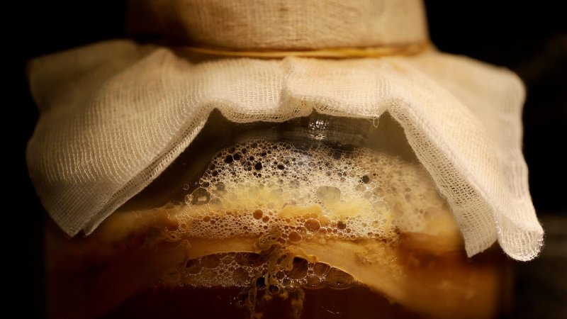 Zdjęcie: Fermentacja w kuchniach świata: od kimchi po kvass