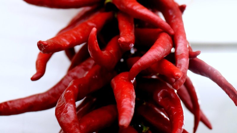 Zdjęcie: Suche chili meksykańskie: ancho, guajillo, chipotle i inne